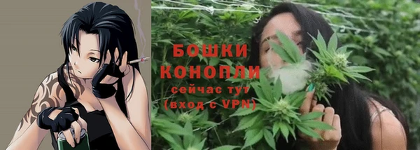 ПСИЛОЦИБИНОВЫЕ ГРИБЫ Билибино