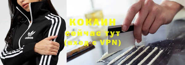 винт Новозыбков