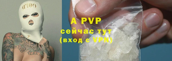 ECSTASY Новокубанск