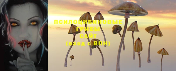 ECSTASY Новокубанск