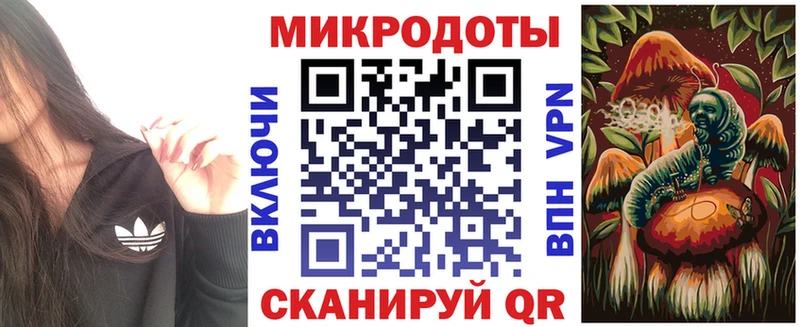 Псилоцибиновые грибы Psilocybe закладки Новомичуринск